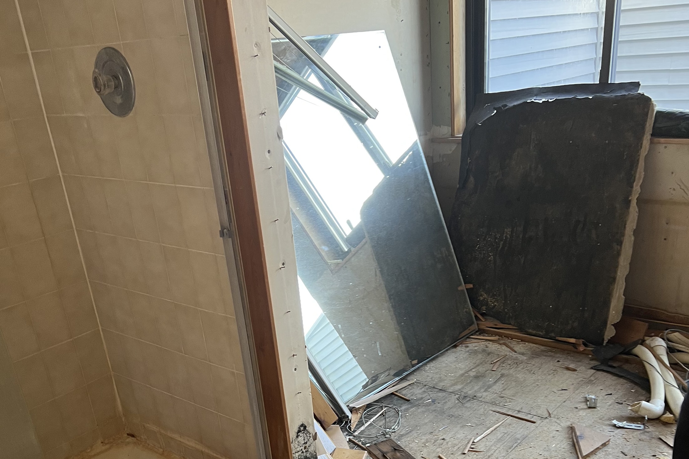 Modern Shower Redesign